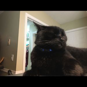 Meet your Posher, Matthew